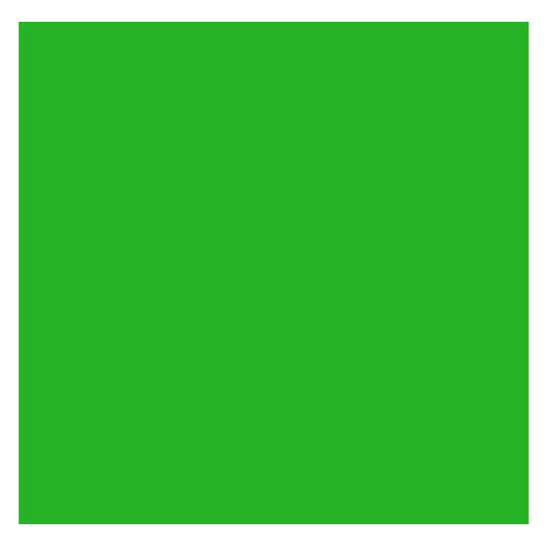 Green Neon Premium Heat Flex Matt HTV Vinyl | Easy-Weed Heat Transfer Vinyl for T-Shirts & Textiles