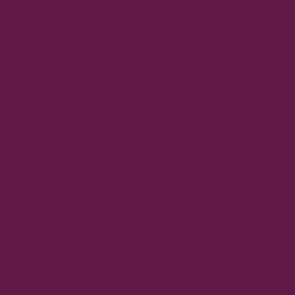 Bordeaux Premium Heat Flex Matt HTV Vinyl