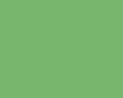 Grass Green Heat flex vinyl