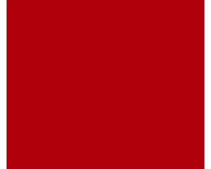 ORACAL® 651 Intermediate Calendered Sign Vinyl Film - Red - 8651-G031