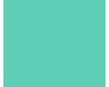 ORACAL® 651 Intermediate Calendered Sign Vinyl Film - Mint - 8651-G055