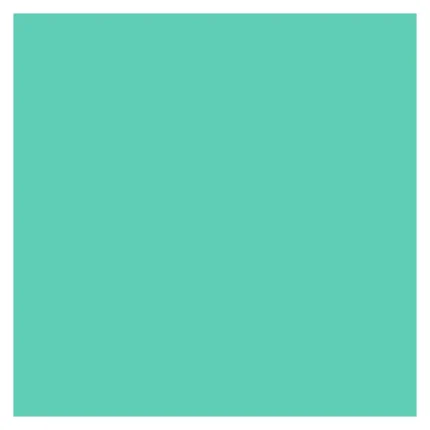 ORACAL® 651 Intermediate Calendered Sign Vinyl Film - Mint - 8651-G055