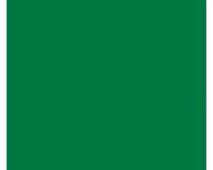 ORACAL® 651 Intermediate Calendered Sign Vinyl Film - Grass Green - 8651-G068