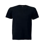 Plus-Size T-Shirts (4XL - 9XL) – 165gsm 100% Cotton - Black