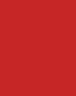 Red Neon - HTV - Brick / Gel