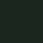 Dark Green - HTV - Brick / Gel