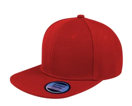 The Snapback Original cap